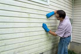 Best Insulated Siding Installation  in Highland, IN